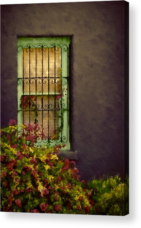 Arizona Acrylic Print featuring the photograph Tucson's Window by Maria Coulson