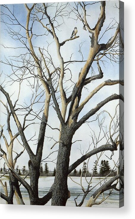 Tree Acrylic Print featuring the painting Untitled #1 by Conrad Mieschke