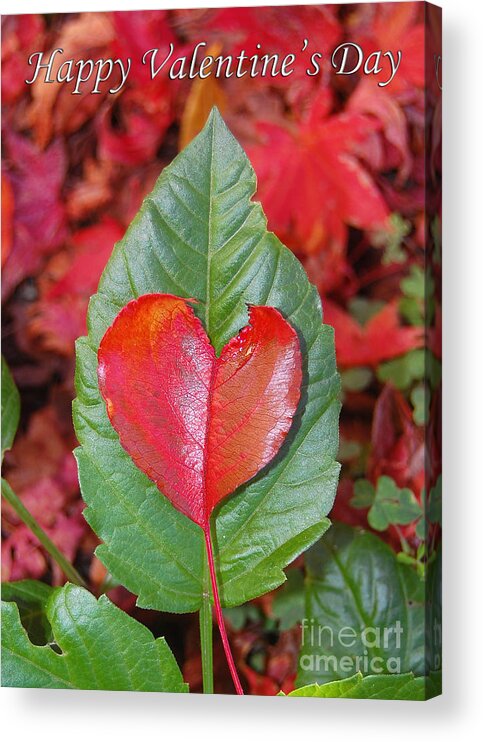 Heart Acrylic Print featuring the photograph Valentine's Day Nature Card by Debra Thompson