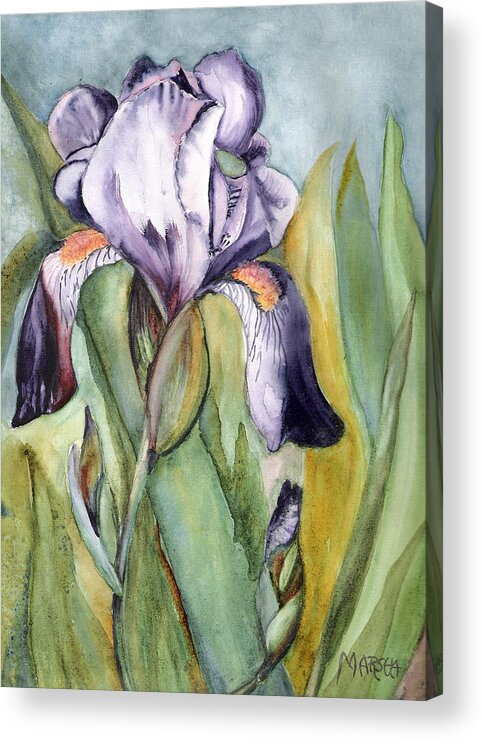 Floral. Flower Acrylic Print featuring the painting Vivid Purple Iris by Marsha Woods