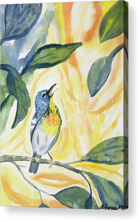 Northern Parula Acrylic Print featuring the painting Watercolor - Northern Parula in Song by Cascade Colors