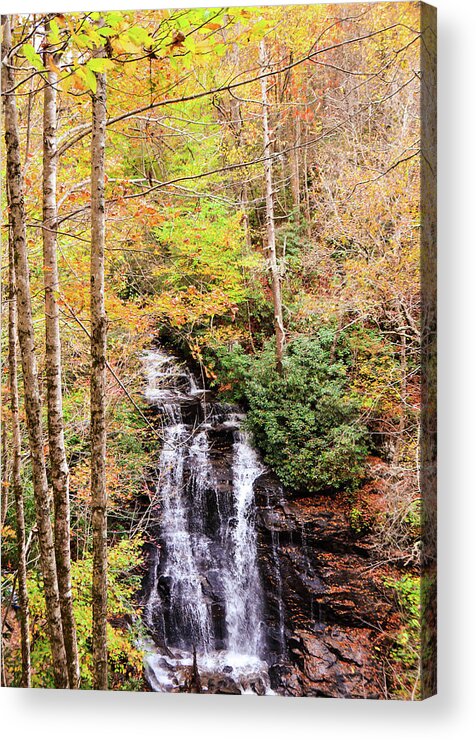 Waterfall Acrylic Print featuring the photograph Waterfall waters by Chuck Brown