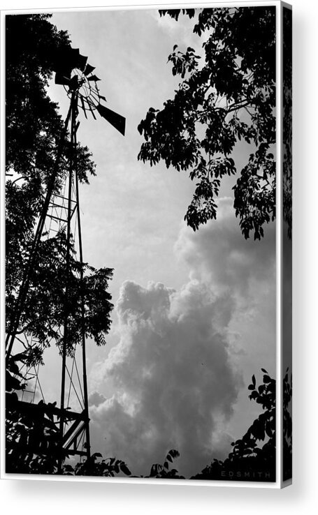 Weather Watcher Acrylic Print featuring the photograph Weather Watcher by Edward Smith