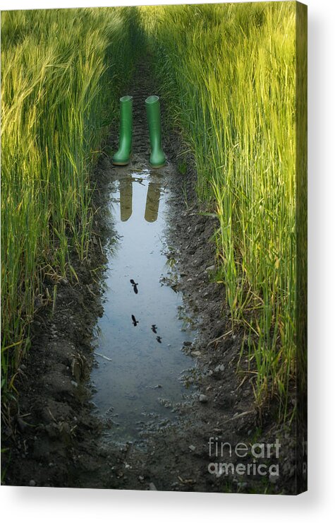 Wheat Acrylic Print featuring the photograph Wellies With Reflection by Amanda Elwell