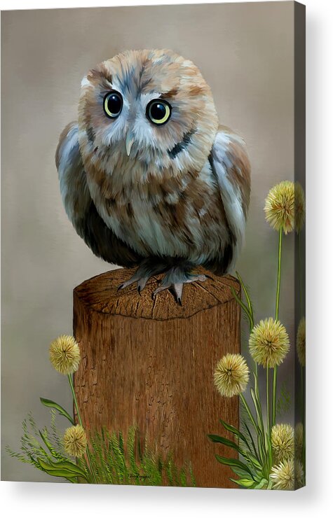 Western Screech Owl Acrylic Print featuring the digital art Western Screech Owl by Thanh Thuy Nguyen