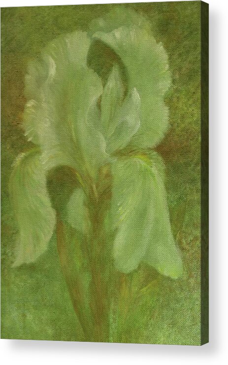 Original White Iris Painting Acrylic Print featuring the painting White Iris Painterly Texture by Judith Cheng