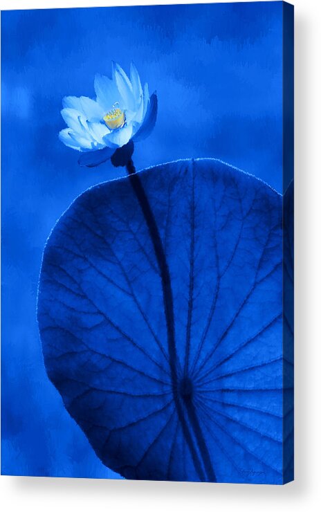 Lotus Acrylic Print featuring the digital art White lotus by Thanh Thuy Nguyen