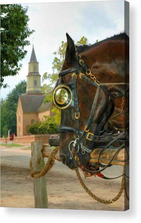 Horse Acrylic Print featuring the photograph Williamsburg Charm by Sam Davis Johnson