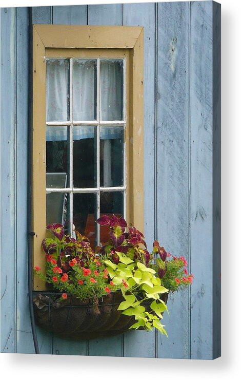 Flowers Acrylic Print featuring the photograph Window Flower Basket by Lori Seaman