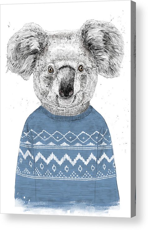 Koala Acrylic Print featuring the drawing Winter koala by Balazs Solti