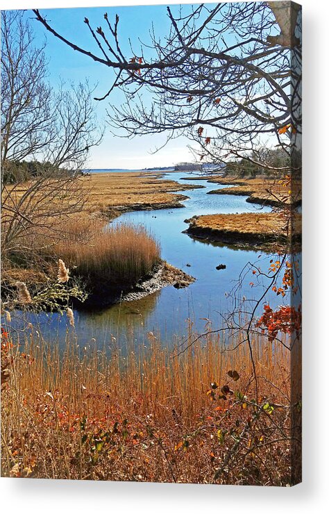 Marsh Acrylic Print featuring the photograph Winter Marsh by Nautical Chartworks