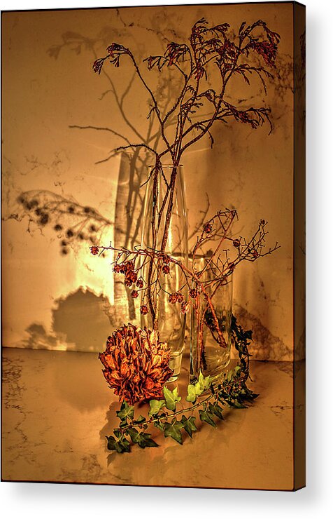 Winter Acrylic Print featuring the photograph Winter still life by Andrei SKY