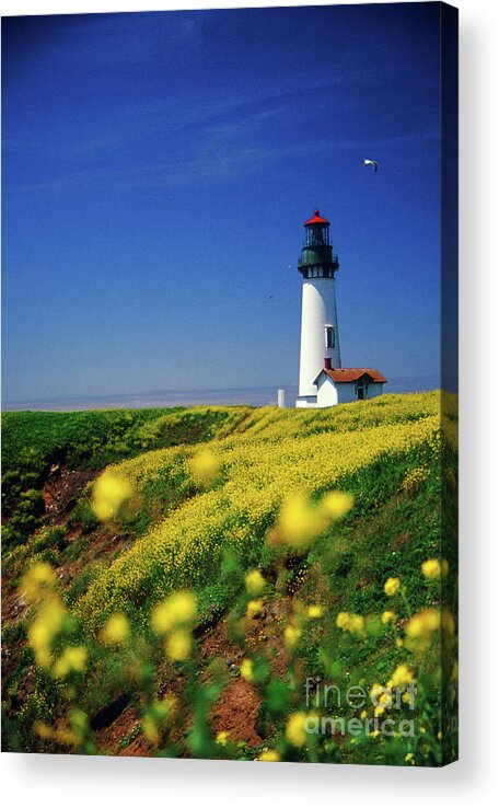 Images Acrylic Print featuring the photograph Yaquina Head Lighthouse- v2 by Rick Bures