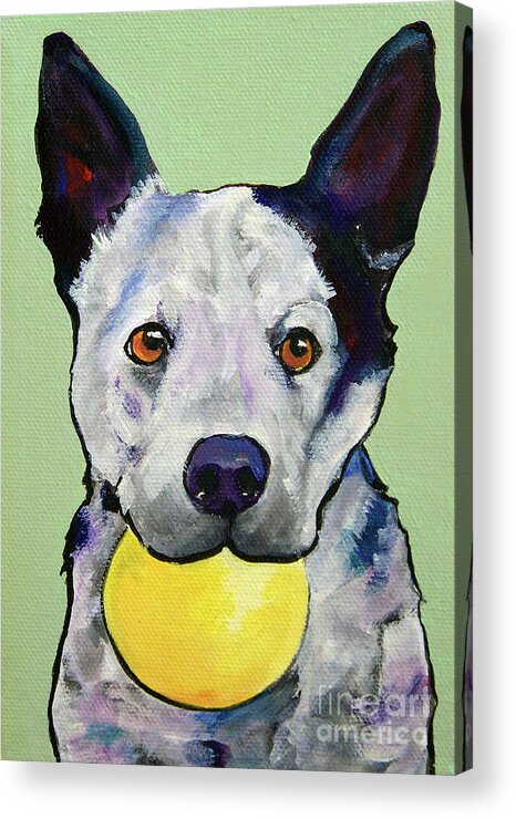 Australian Cattle Dog Acrylic Print featuring the painting Yellow Ball by Pat Saunders-White