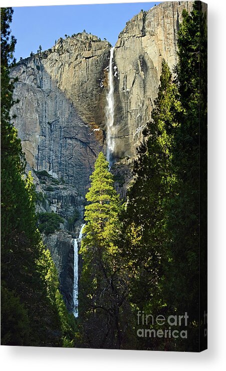 Yosemite Falls Acrylic Print featuring the photograph Yosemite Falls with late afternoon light in Yosemite National Park. by Jamie Pham