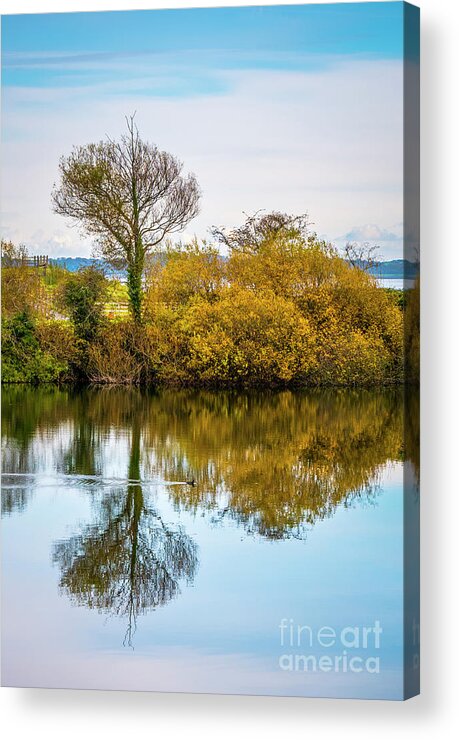 Autumn Acrylic Print featuring the photograph Autumn reflections #1 by Jim Orr