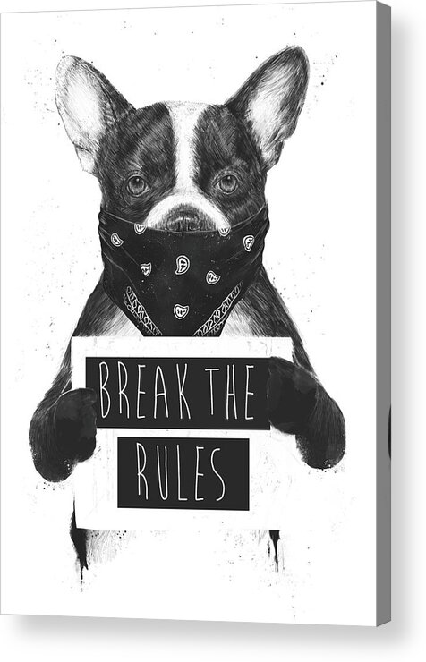 Dog Acrylic Print featuring the mixed media Rebel dog II by Balazs Solti