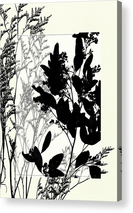 Pressed Acrylic Print featuring the painting Small Translucent Wildflowers X #1 by Jennifer Goldberger