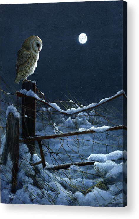 1074 Silent Night Barn Owl Acrylic Print featuring the painting 1074 Silent Night Barn Owl by Jeremy Paul