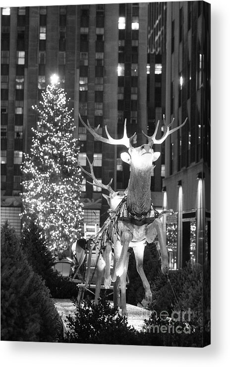 Holiday Acrylic Print featuring the photograph Christmas Tree At Rockefeller Center #8 by Bettmann