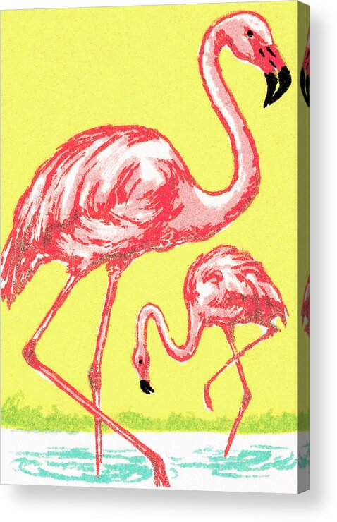 Animal Acrylic Print featuring the drawing Flamingo #9 by CSA Images
