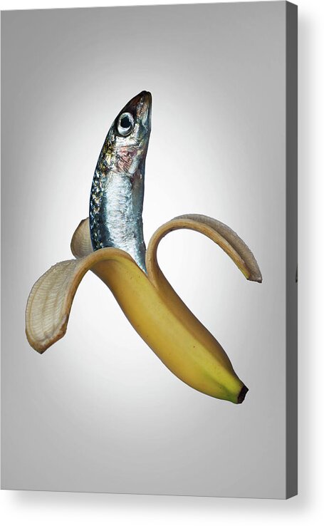 Confusion Acrylic Print featuring the photograph A Fish In A Banana by Buena Vista Images