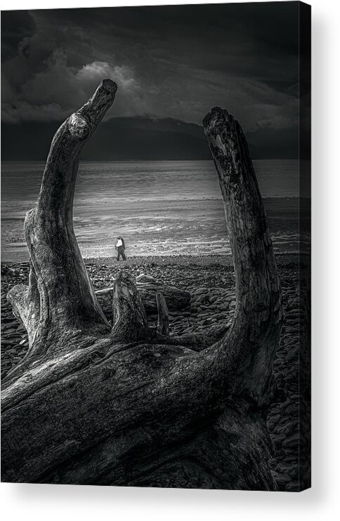Tree Acrylic Print featuring the photograph A Point Of View by Siyu And Wei Photography