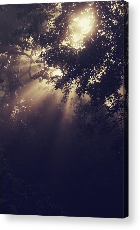 Sun Beams Acrylic Print featuring the photograph Angels Called Home by Michelle Wermuth