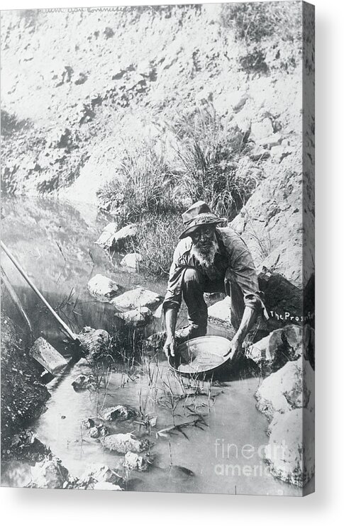 People Acrylic Print featuring the photograph Australian Panning For Gold In Stream by Bettmann