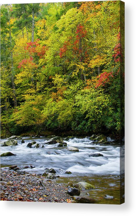 Autumn Acrylic Print featuring the photograph Autumn Stream by Larry Bohlin