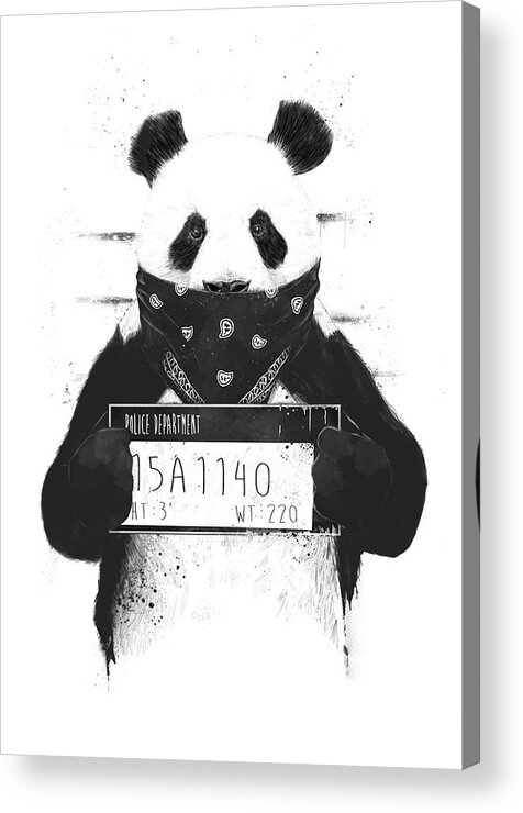 Panda Acrylic Print featuring the drawing Bad panda by Balazs Solti