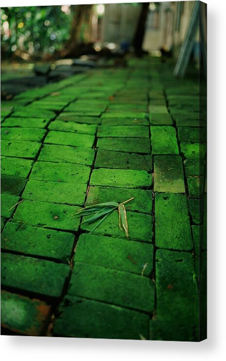 Tranquility Acrylic Print featuring the photograph Bamboo Leaf On Green Brick by Jayron