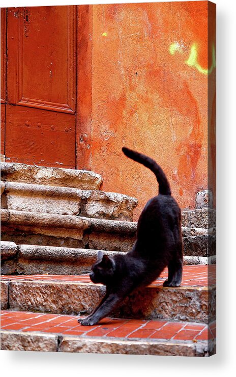 Steps Acrylic Print featuring the photograph Black Cat by Roy Cheung