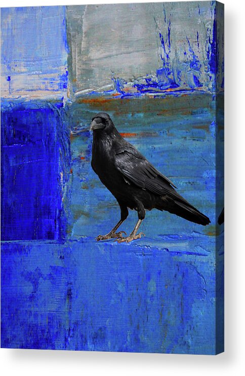 Blue Raven Acrylic Print featuring the painting Blue Thoughts by Nancy Merkle