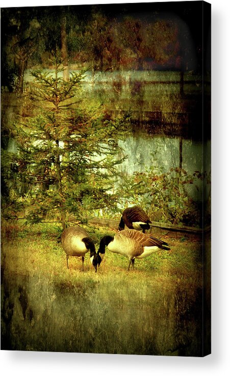 Autumn Acrylic Print featuring the photograph By The Little Tree - Lake Carasaljo by Angie Tirado