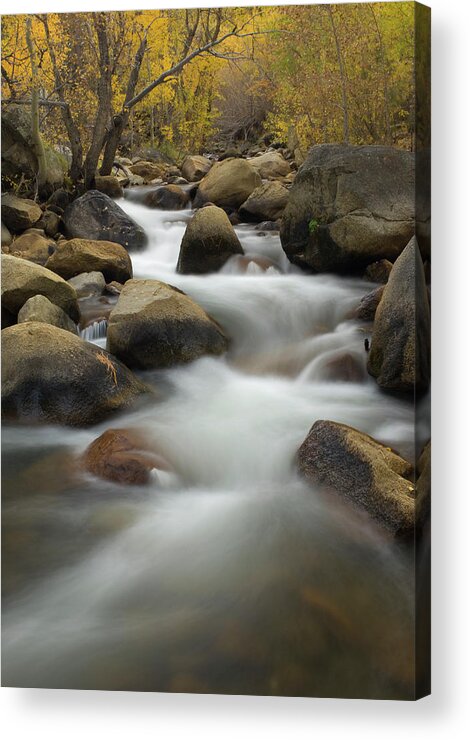 141335 Acrylic Print featuring the photograph Cascading Stream South Fork Of Bishop by Nhpa