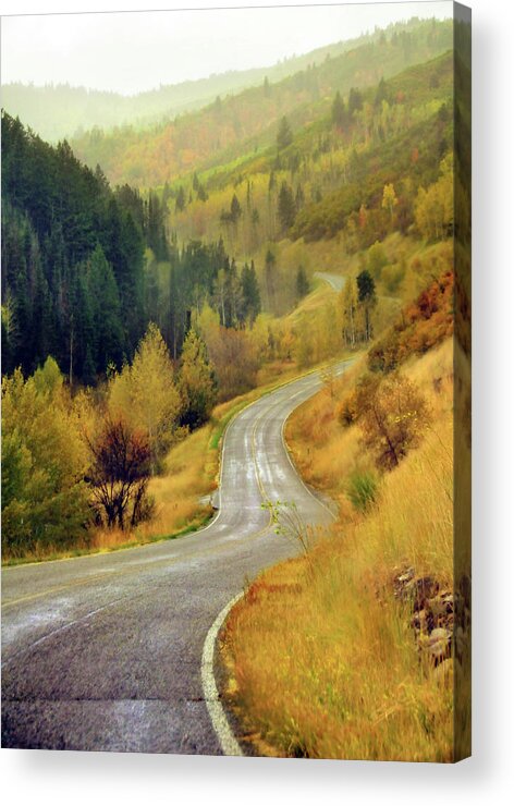 Clear Sky Acrylic Print featuring the photograph Curve Mountain Road With Autumn Trees by Utah-based Photographer Ryan Houston
