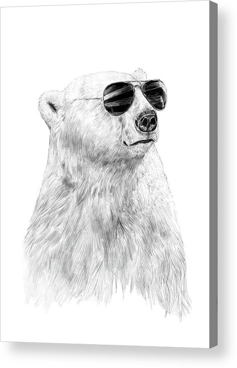 Polar Bear Acrylic Print featuring the drawing Don't let the sun go down by Balazs Solti