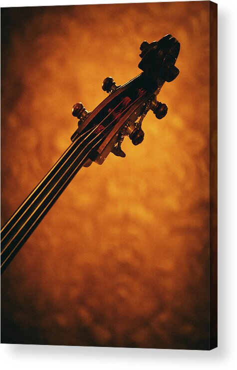 Music Acrylic Print featuring the photograph Double Bass Head by Thepalmer