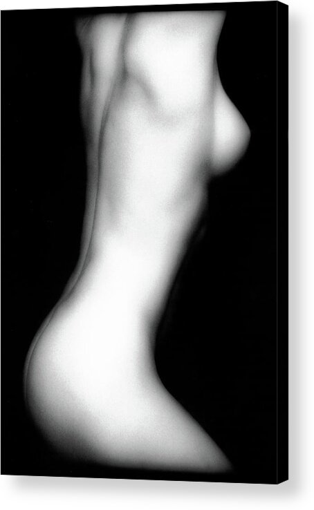 Nude Acrylic Print featuring the photograph Erica's Torso by Lindsay Garrett