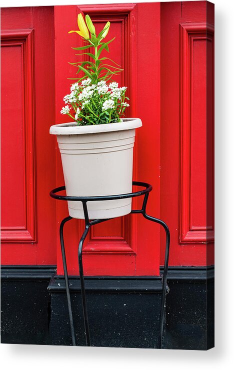 Flowers Acrylic Print featuring the photograph Flowers Fronting Red by Gary Slawsky