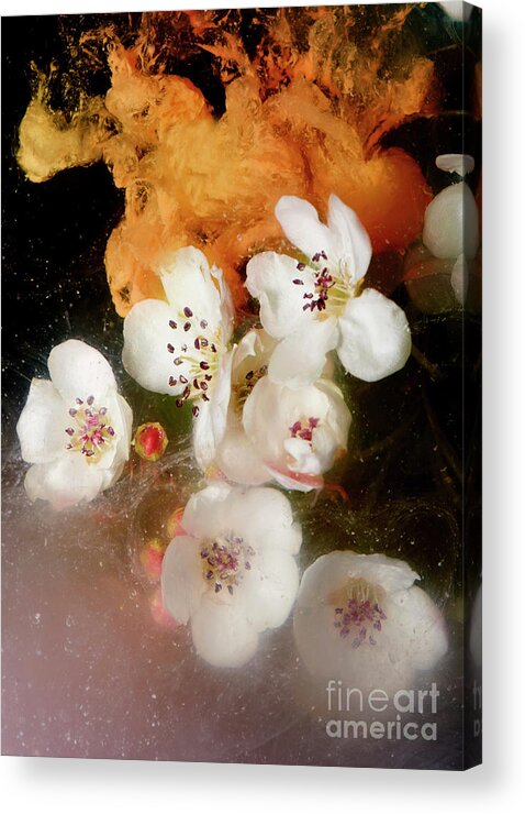 Underwater Acrylic Print featuring the photograph Flowers With Paint And Water by Tara Moore