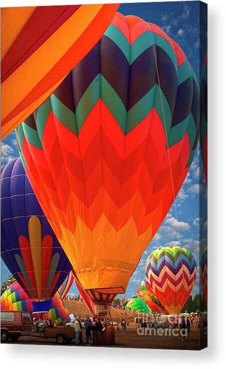 Up And Away Acrylic Print featuring the photograph Hot Air Balloons Vertical by David Zanzinger