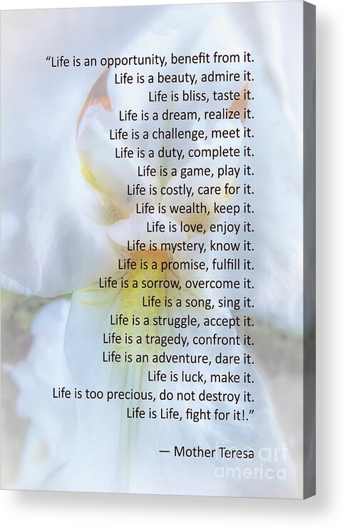 Mother Teresa Acrylic Print featuring the photograph Life Is An Opportunity by Amy Dundon