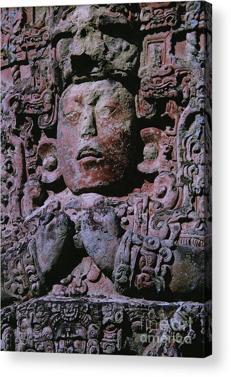 Mayan Acrylic Print featuring the photograph Mayan Stele In Grand Plaza, Copan, Honduras, Central America by Mayan