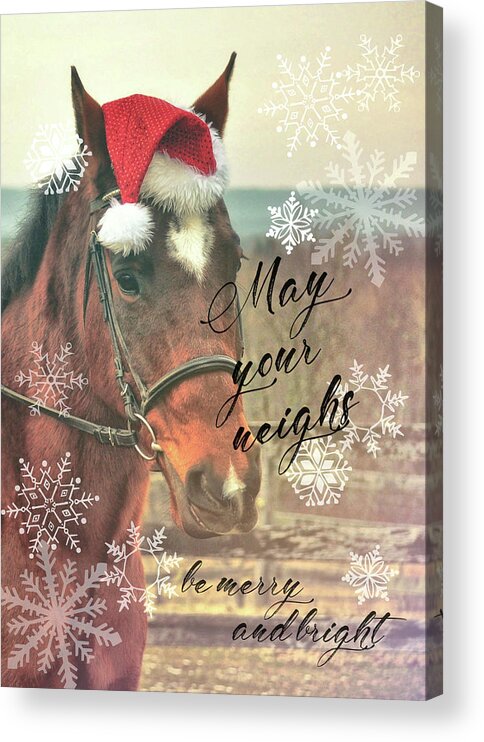 A Acrylic Print featuring the photograph NEIGH WISHING YOU quote by Dressage Design