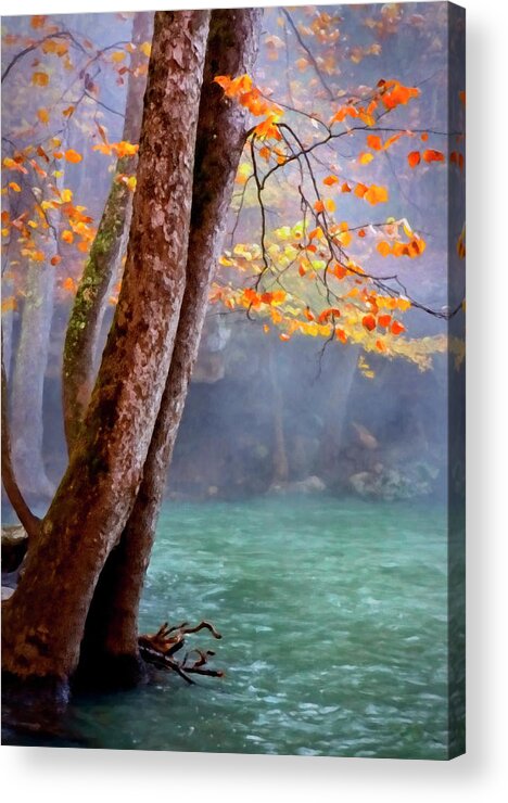Ozark Acrylic Print featuring the photograph Arkansas Ozark Autumn by Harriet Feagin