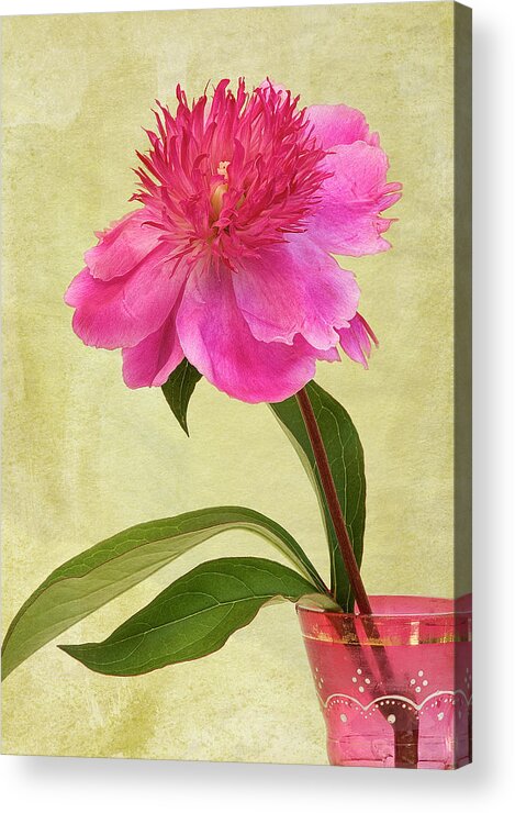 Loire Valley Acrylic Print featuring the photograph Peony In Pink Vase by © Leslie Nicole Photographic Art