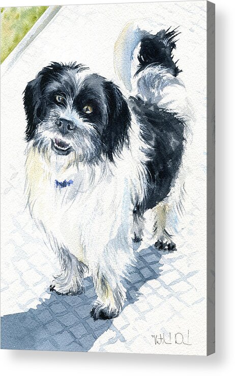 Dog Acrylic Print featuring the painting Rafa by Dora Hathazi Mendes