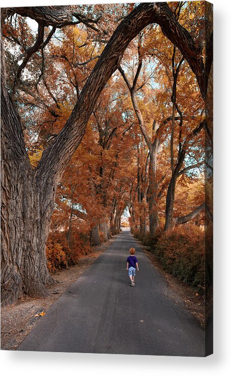 Redhead Acrylic Print featuring the photograph Redhead Fall Walkabout by Tom Gresham